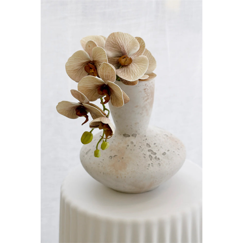 Cup Rim Bottle B