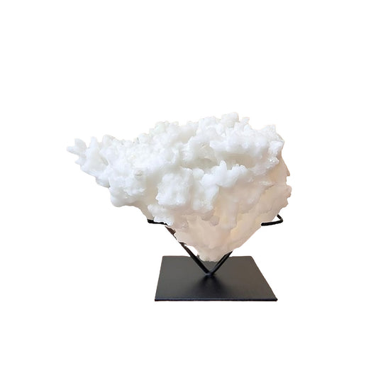 Coral Ornament