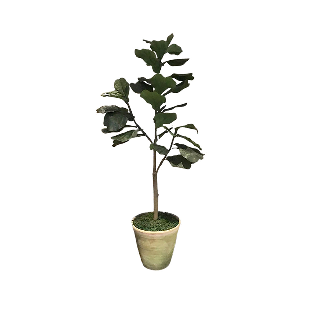 Fab Tree
