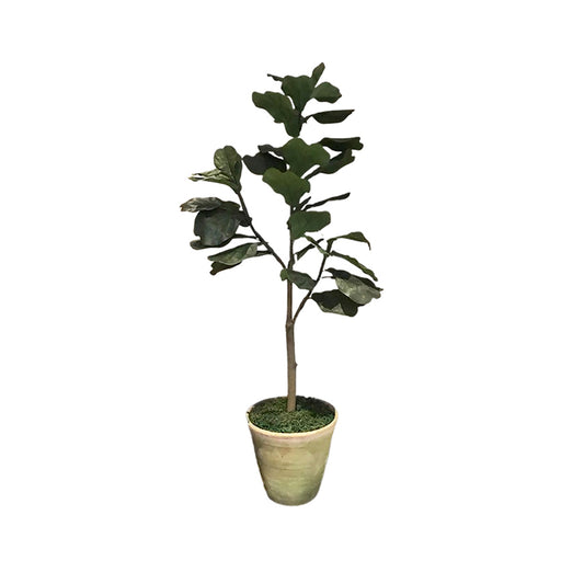 Fab Tree