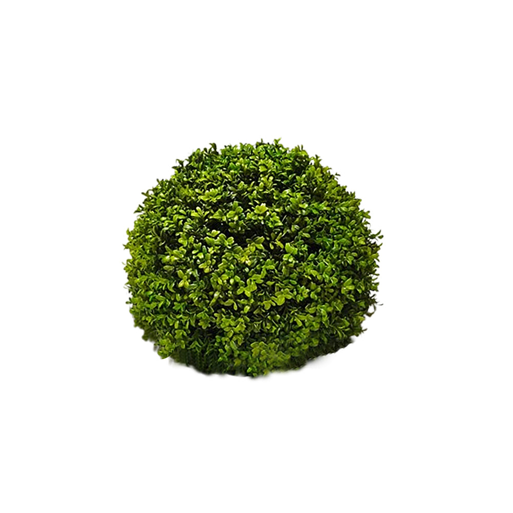 Plant Grass Ball