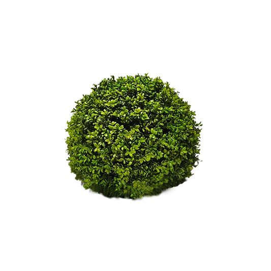 Plant Grass Ball