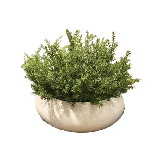 Rosemary Arrangement